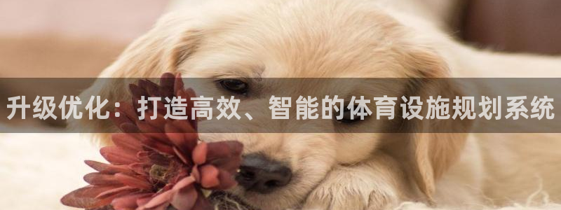 尊龙凯时怎么样没听说过