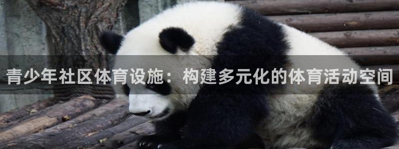 尊龙凯时z6官网