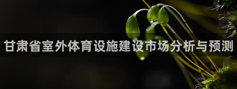 尊龙在线登录官网